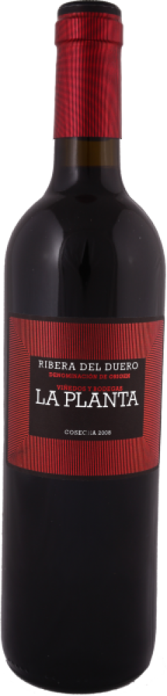 Tempranillo Arzuaga Navarro 75cl 2020 DO